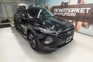 2020 Hyundai Santa Fe Image