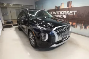 2020 Hyundai Palisade Image