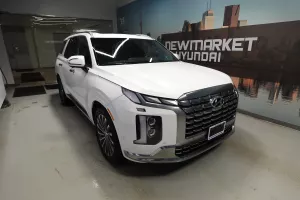 2025 Hyundai Palisade Image