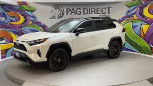 2022 Toyota RAV4 Image