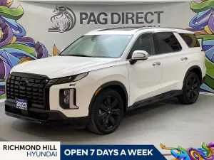 2023 Hyundai Palisade Image