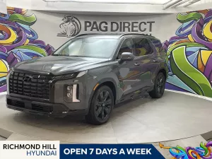 2024 Hyundai Palisade Image