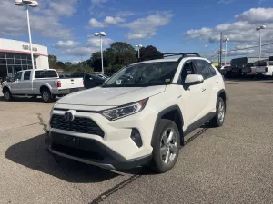 2019 Toyota RAV4 Image