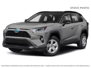 2019 Toyota RAV4 Image