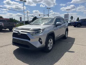 2019 Toyota RAV4 Image
