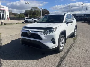 2021 TOYOTA RAV4 XLE Image