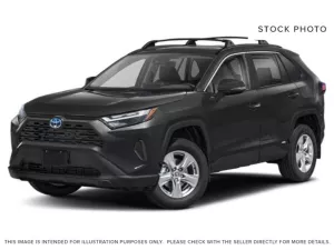 2023 Toyota RAV4 Image