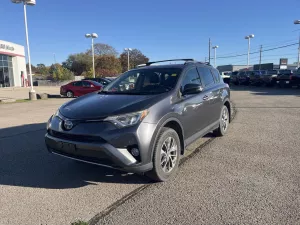 2018 Toyota RAV4 Image