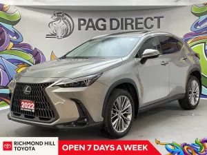2022 Lexus NX Image