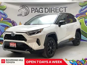 2024 Toyota RAV4 Image
