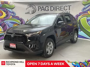 2025 Toyota RAV4 Image