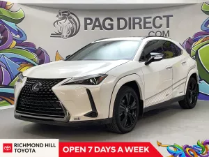 2021 Lexus UX Image