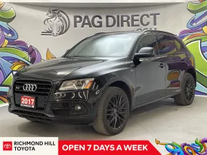 2017 Audi SQ5 Image