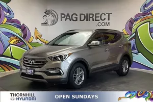 2017 Hyundai Santa Fe Image