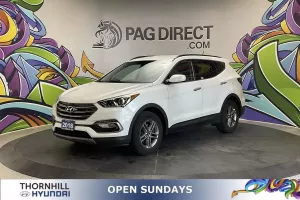 2018 Hyundai Santa Fe Image