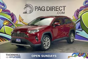 2019 Toyota RAV4 Image