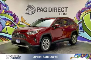 2019 Toyota RAV4 Image