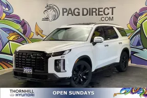 2023 Hyundai Palisade Image