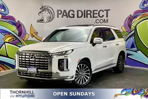 2025 Hyundai Palisade Image