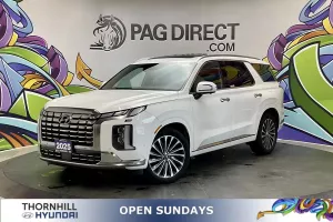 2025 Hyundai Palisade Image