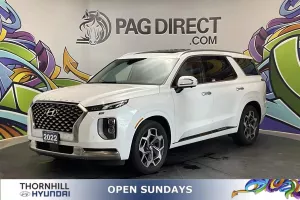 2022 Hyundai Palisade Image