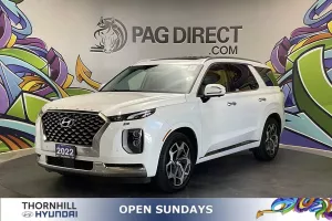 2022 Hyundai Palisade Image