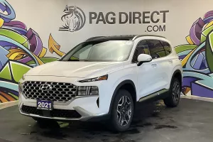 2021 hyundai Santa Fe Hybrid Image