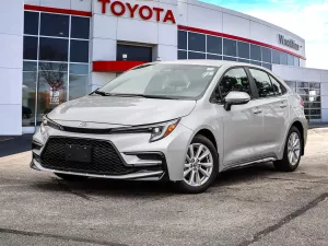 2026 Toyota Corolla Image