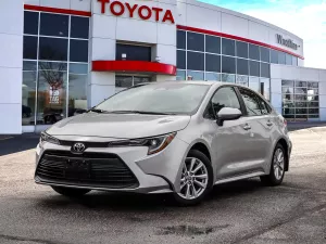 2026 Toyota Corolla Image