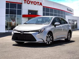 2026 Toyota Corolla Image