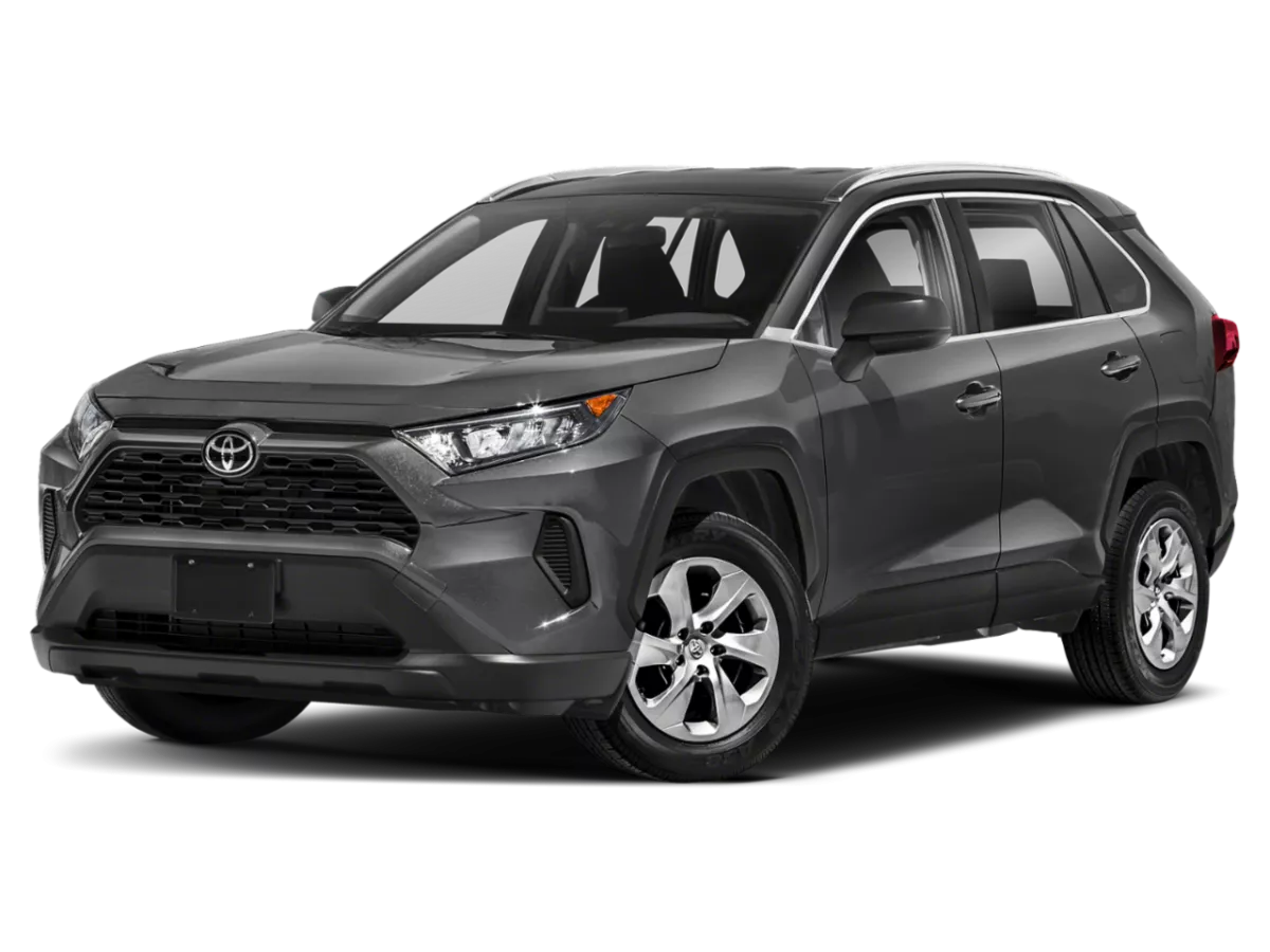 2019 Toyota RAV4 Image